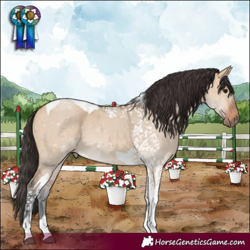 Horse Color:Bay Dun Tobiano 