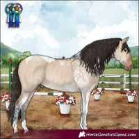 Horse Color:Bay Dun Tobiano