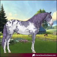 Horse Color:Watercolor Black Ice Sabino Frame Blanket 