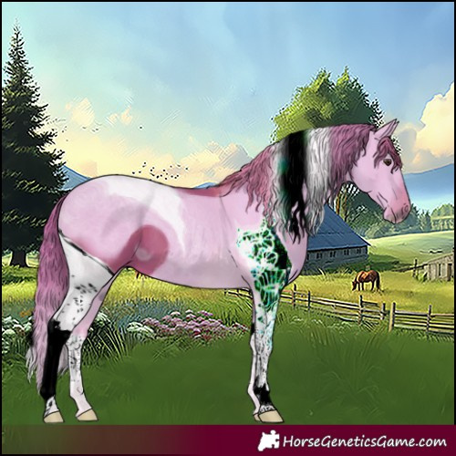 Horse Color:ERROR: UNKNOWN ANOMALY