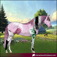 Horse Color:ERROR: UNKNOWN ANOMALY