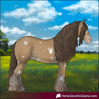Horse Color:White Spotted Classic Cream Champagne 
