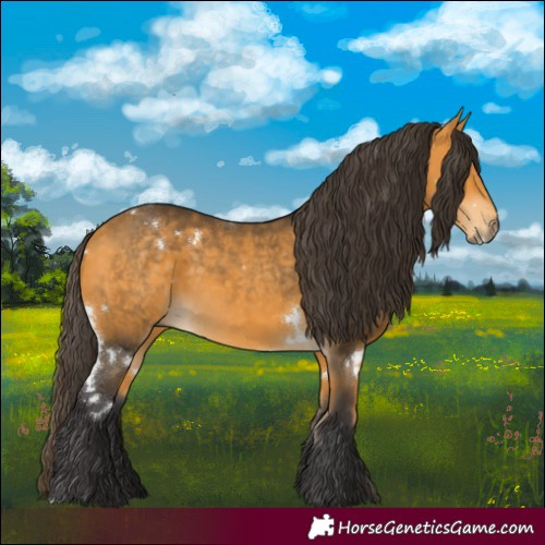 Horse Color:White Spotted Buckskin