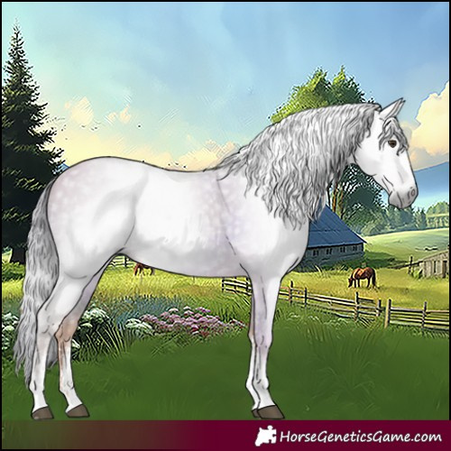 Horse Color:Gray Watercolor Red Dun Sabino 