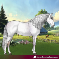 Horse Color:Gray Watercolor Red Dun Sabino 
