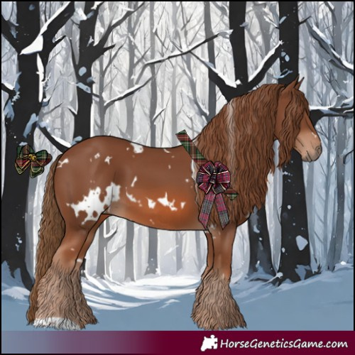 Horse Color:White Spotted Chestnut 