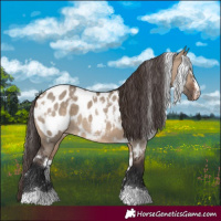 Horse Color:White Spotted Brown Dun Near Leopard 