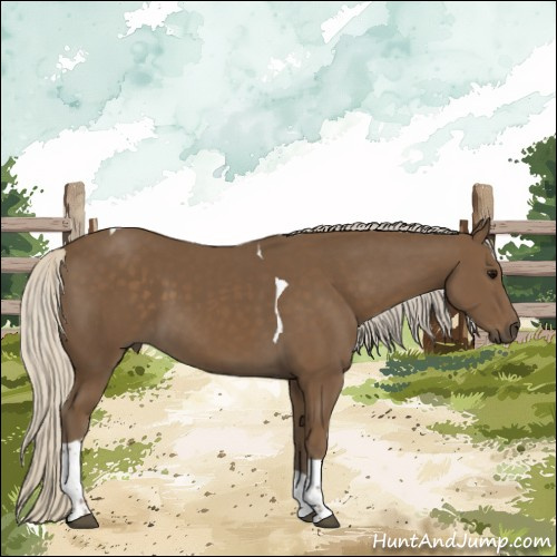 Horse Color:Silver Smoky Black Tobiano 