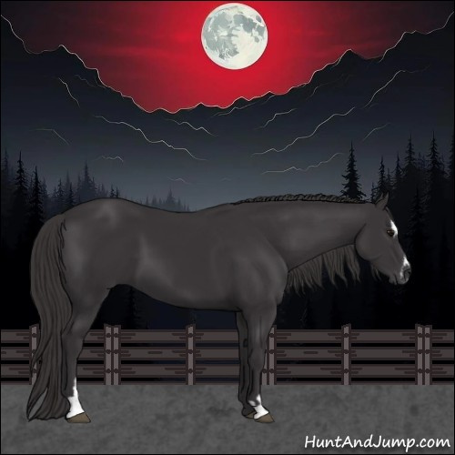 Horse Color:Smoky Black Sabino 