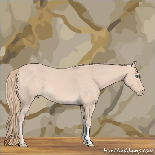 Horse Color:Perlino 