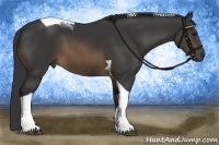 Horse Color:Buckskin Tobiano 