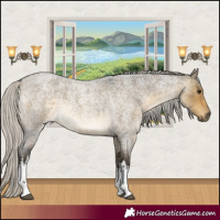 Horse Color:White Spotted Silver Buckskin Roan Dun 