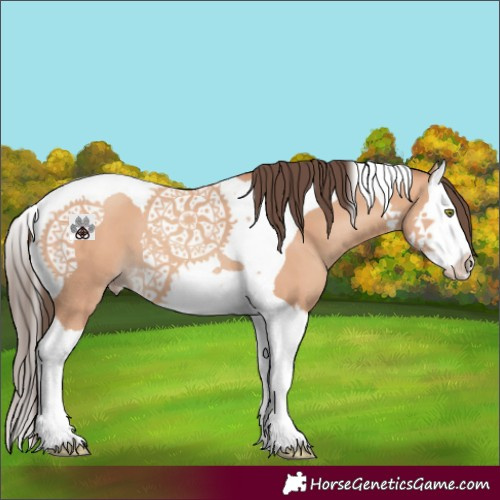 Horse Color:Amber Champagne Splash Tobiano 