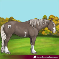 Horse Color:Silver Black 