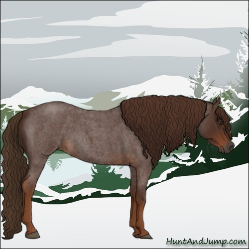 Horse Color:Gray Red Roan 