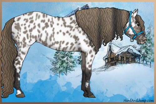 Horse Color:Smoky Grullo Appaloosa 