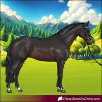 Horse Color:Brown 