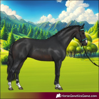 Horse Color:Brown 
