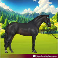 Horse Color:Brown 