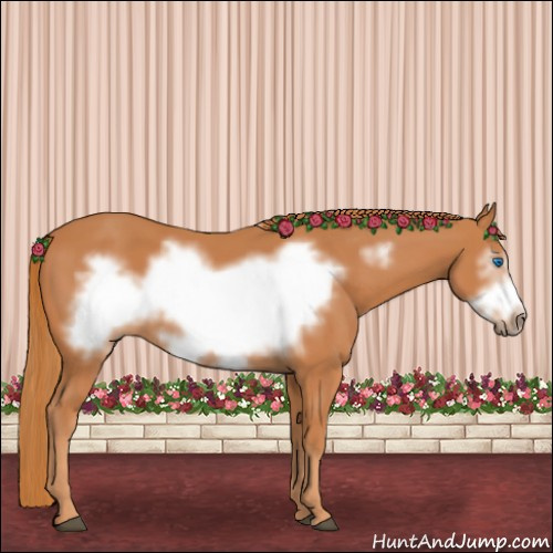 Horse Color:Chestnut Frame 