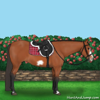 Horse Color:Bay Frame