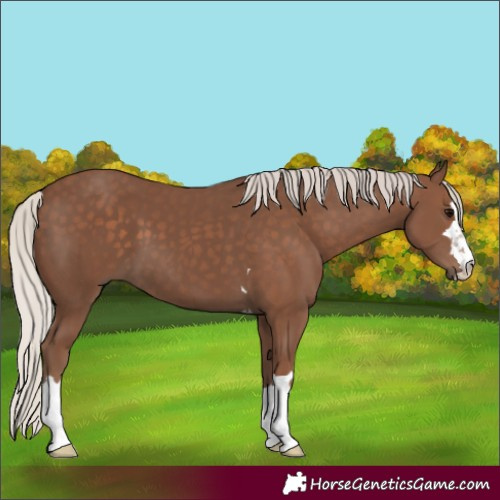 Horse Color:Silver Black 