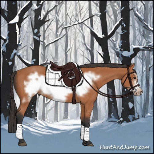 Horse Color:Bay Frame 