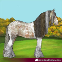Horse Color:Plaid  Bay Ice Tobiano 