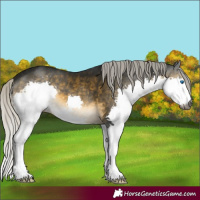 Horse Color:Gray Silver Buckskin Mushroom Splash 