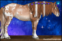 Horse Color:White Spotted Bay Snowdrop Pearl Sabino Rabicano
