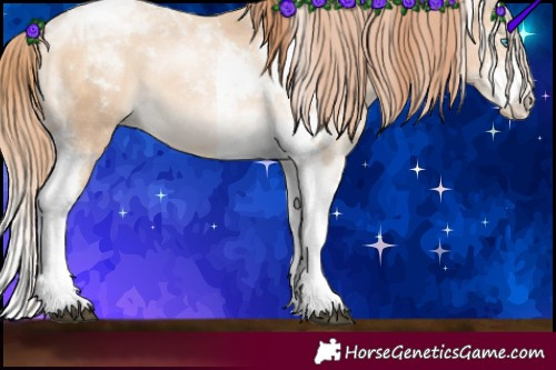 Horse Color:Bay Snowdrop Pearl Sabino Tobiano 