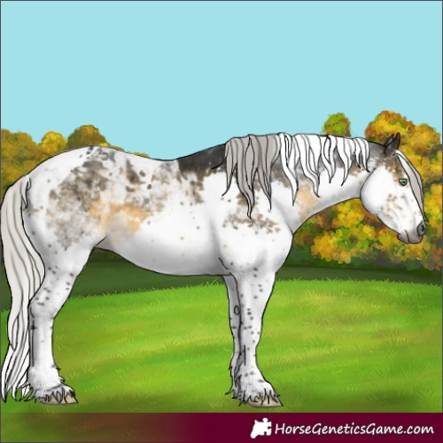 Horse Color:Gray White Spotted Silver Buckskin Mushroom Splash Tobiano 