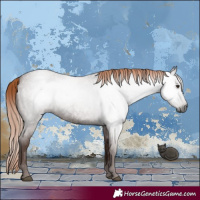 Horse Color:Gray Red Roan 