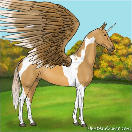 Horse Color:Palomino Tobiano 