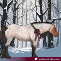 Horse Color:Bay Roan 