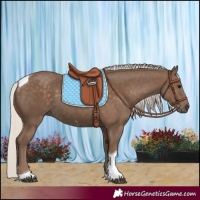 Horse Color:Silver Black Tobiano