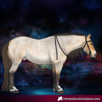 Horse Color:Buckskin Roan 