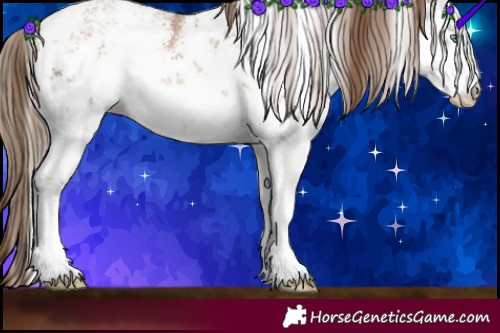 Horse Color:White Spotted Brown Pearl Sabino