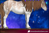 Horse Color:Liver Chestnut Pearl Sabino Rabicano 