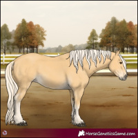 Horse Color:Palomino 