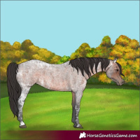 Horse Color:Brown Ice Roan 