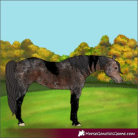 Horse Color:Void Brown Ice Roan Tobiano 