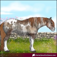 Horse Color:Red Onyx Ice Pearl Tobiano Varnish 
