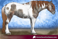 Horse Color:Red Onyx Ice Pearl Tobiano