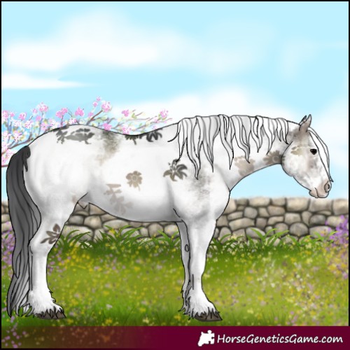 Horse Color:White Spotted Blue Onyx 