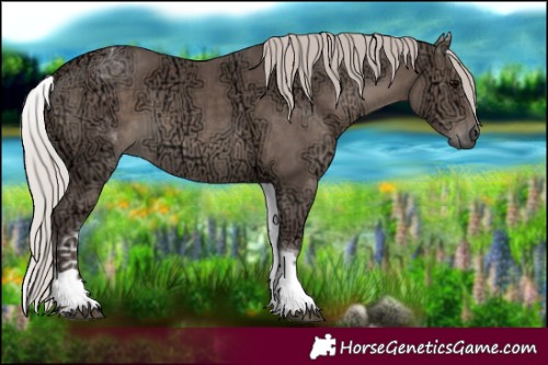 Horse Color:White Spotted Silver Black Ice 