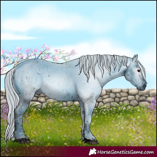 Horse Color:ERROR: UNKNOWN ANOMALY