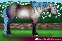 Horse Color:ERROR: UNKNOWN ANOMALY