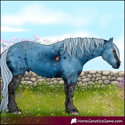 Horse Color:ERROR: UNKNOWN ANOMALY