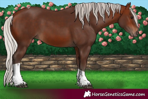 Horse Color:Silver Brown Tobiano Rabicano